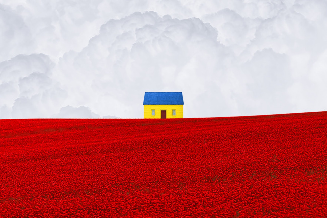 Aleksander Maachowski Hashtagalek 1