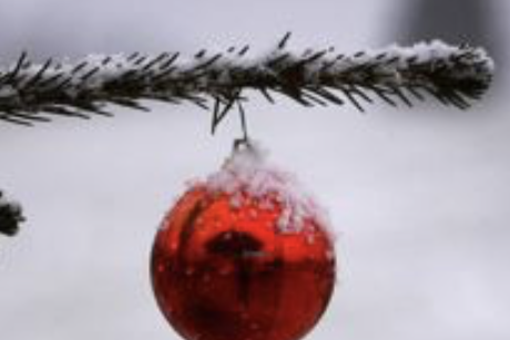 Bildschirmfoto 2020-12-16 um 16.28.46.png