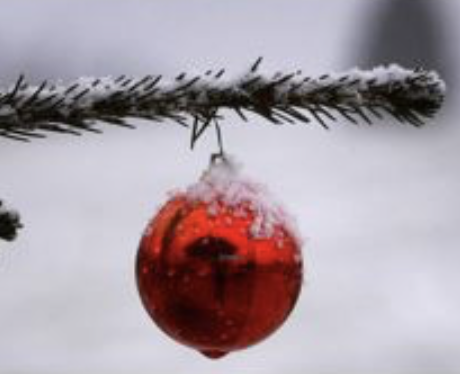 Bildschirmfoto 2020-12-16 um 16.28.46.png